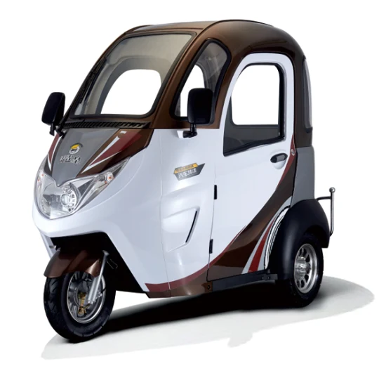 coche electrico